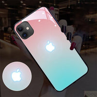 iPhone 12 Pro Max Glasses Case