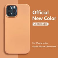 Original Square Liquid Silicone Phone Case For iPhone 12 11 Series